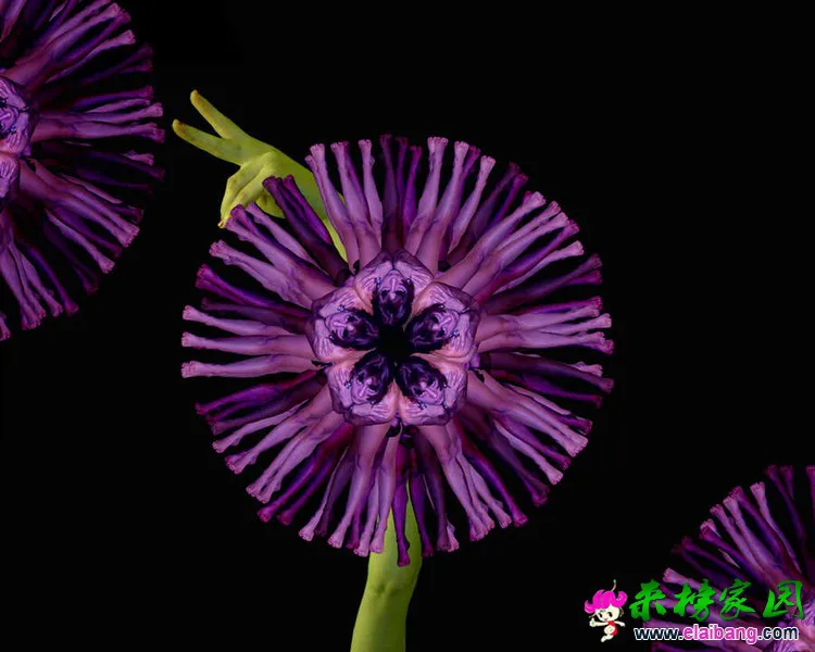 0 (17).webp