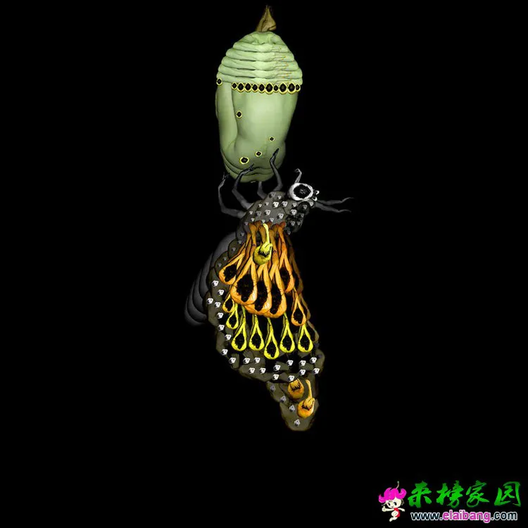 0 (21).webp