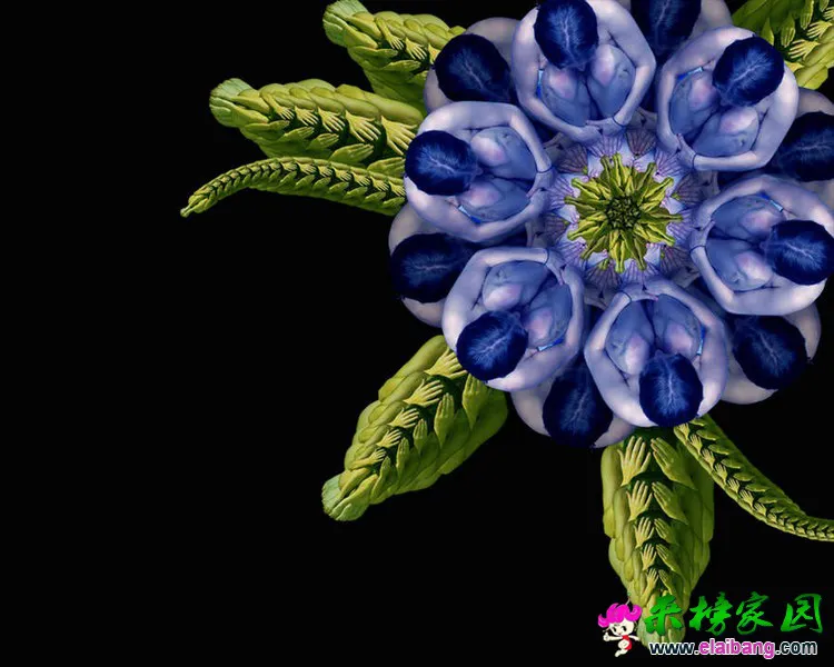 0 (28).webp