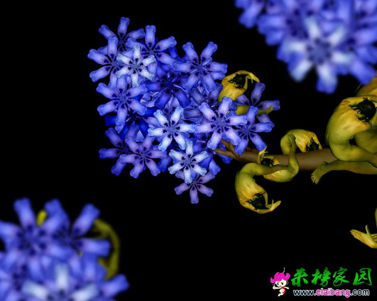 0 (29).webp