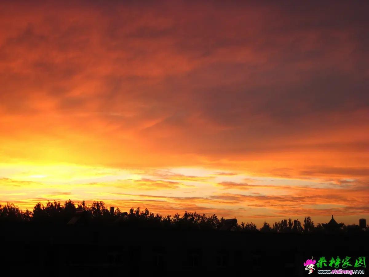 IMG_6670.webp