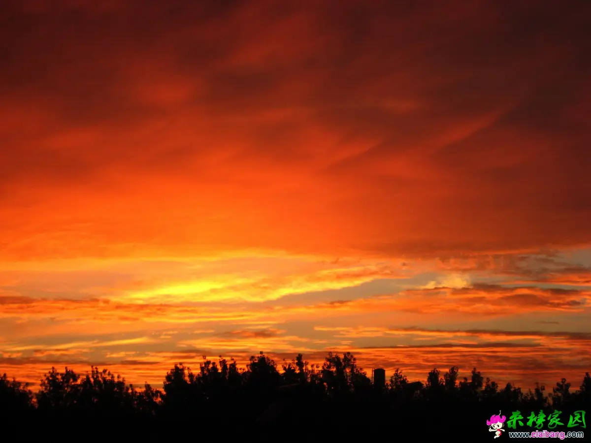 IMG_6672.webp