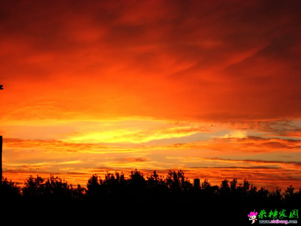 IMG_6673.webp