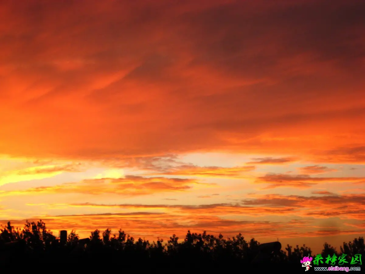 IMG_6674.webp