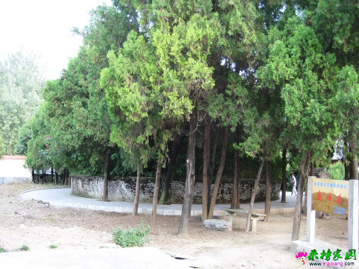 IMG_2726.webp