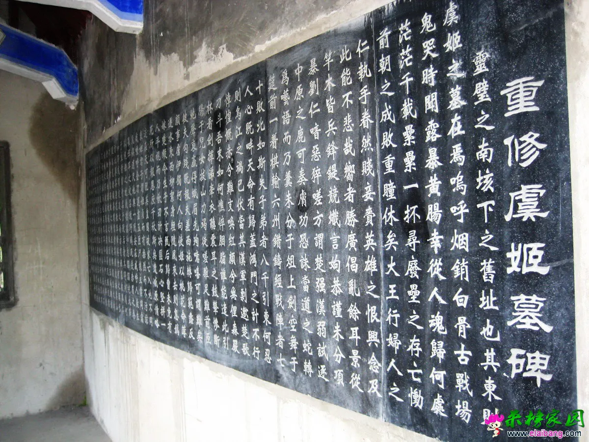 IMG_2727.webp