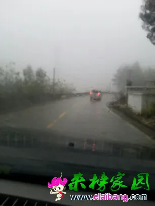 154907css6u0d72p76nr22.webp