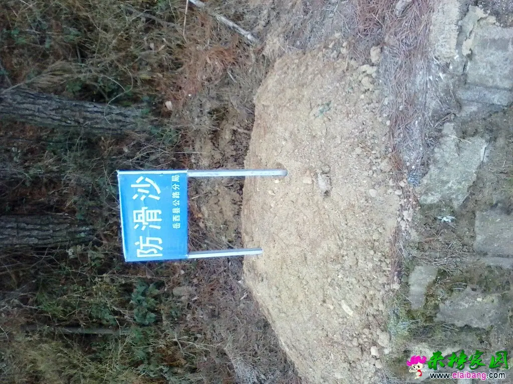 102236nfjbw4d3wvwxxbb0.webp