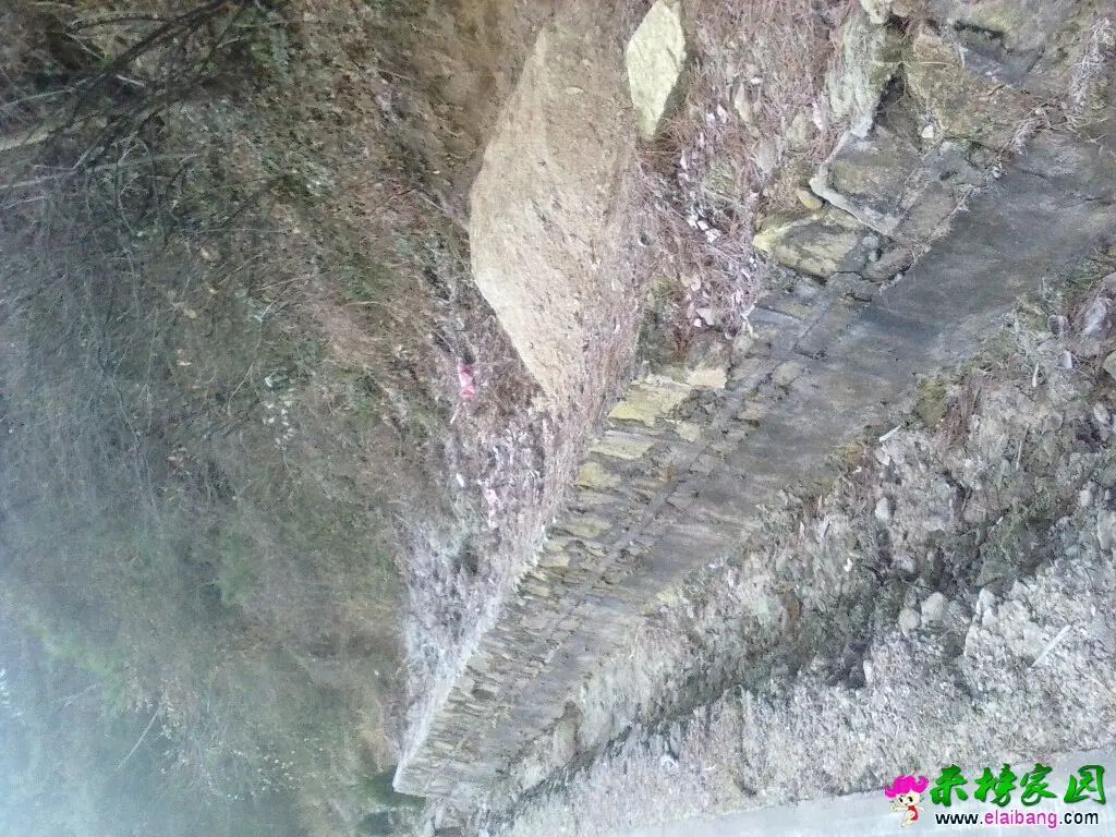 102248h196mhapajhr9ht9.webp