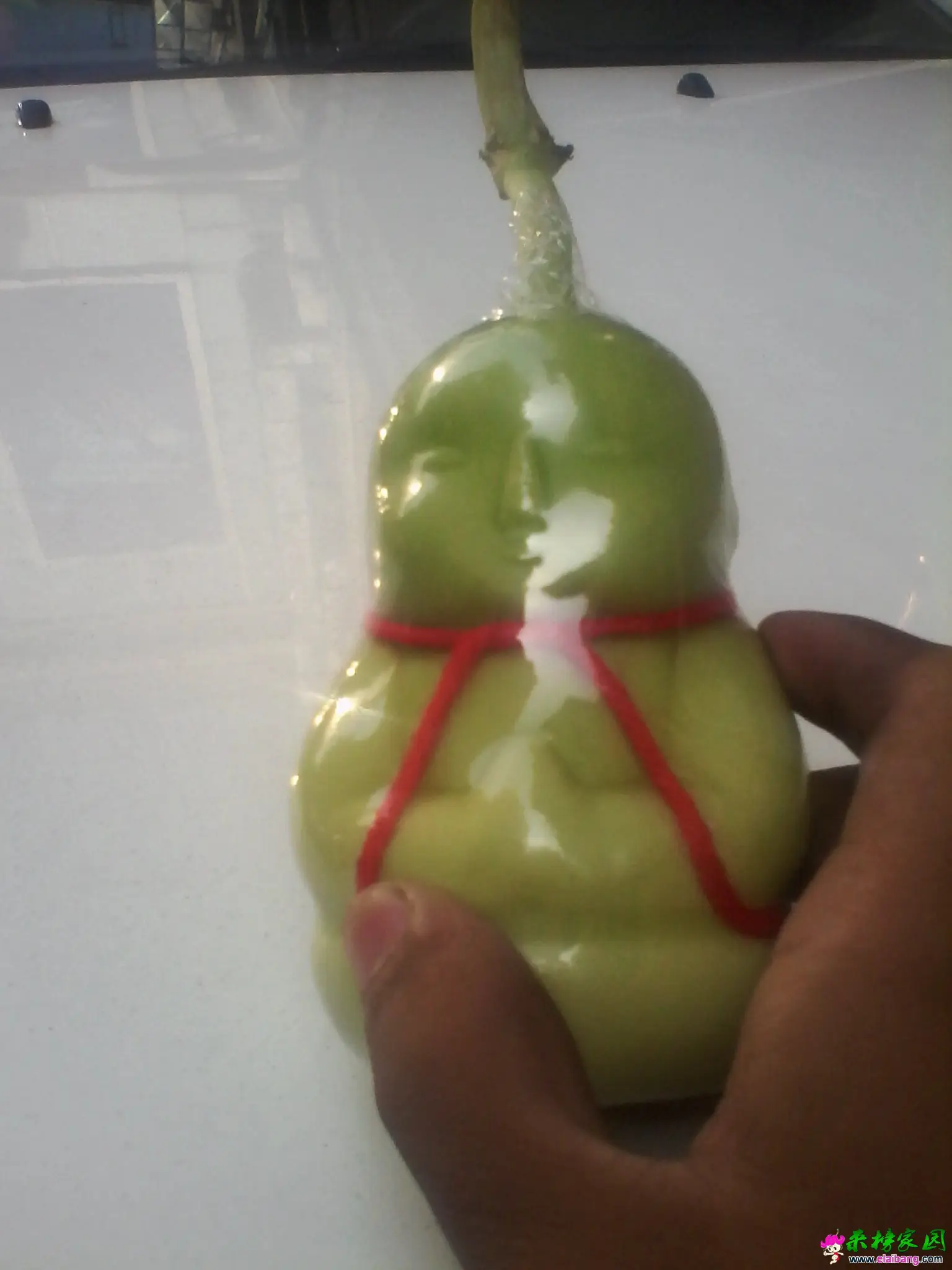 IMG_20141102_140143.webp