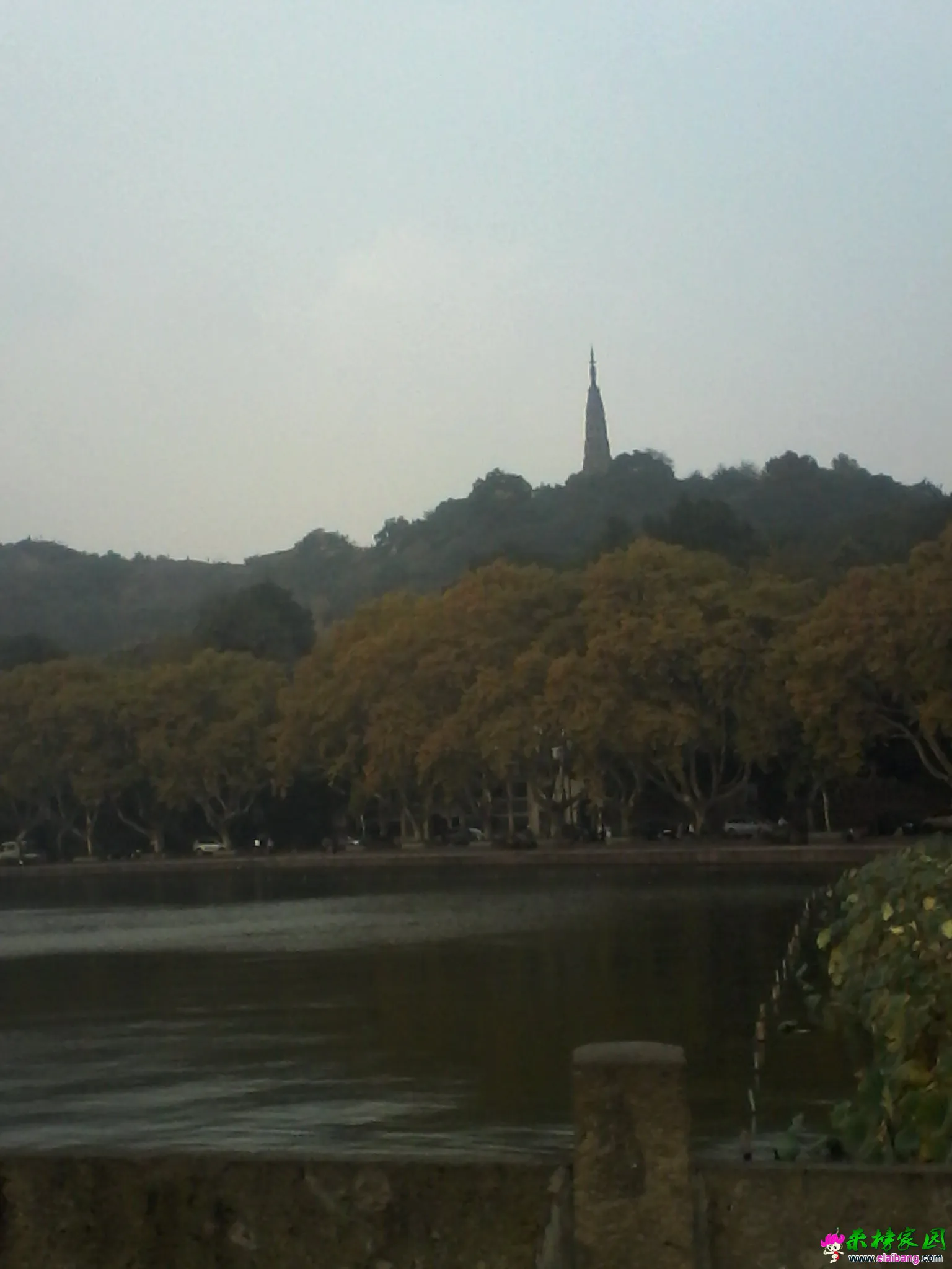 IMG_20141027_100724 - 副本 (2).webp