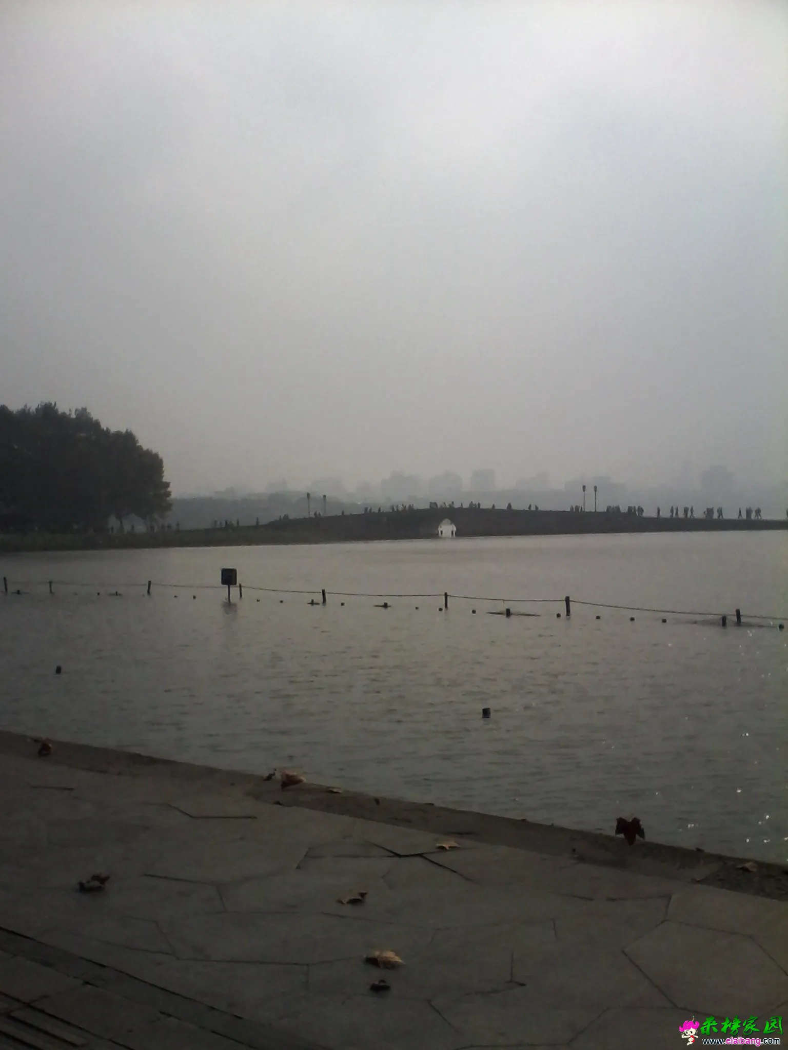 IMG_20141027_094210 - 副本 - 副本 - 副本.webp