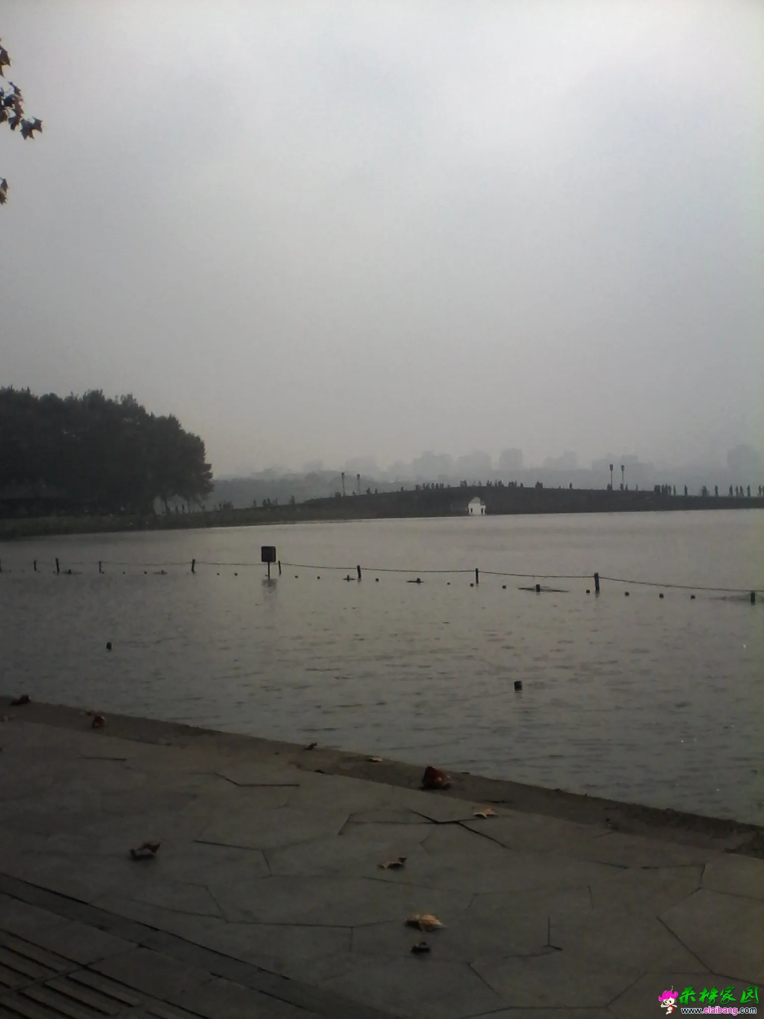 IMG_20141027_094214 - 副本 - 副本.webp