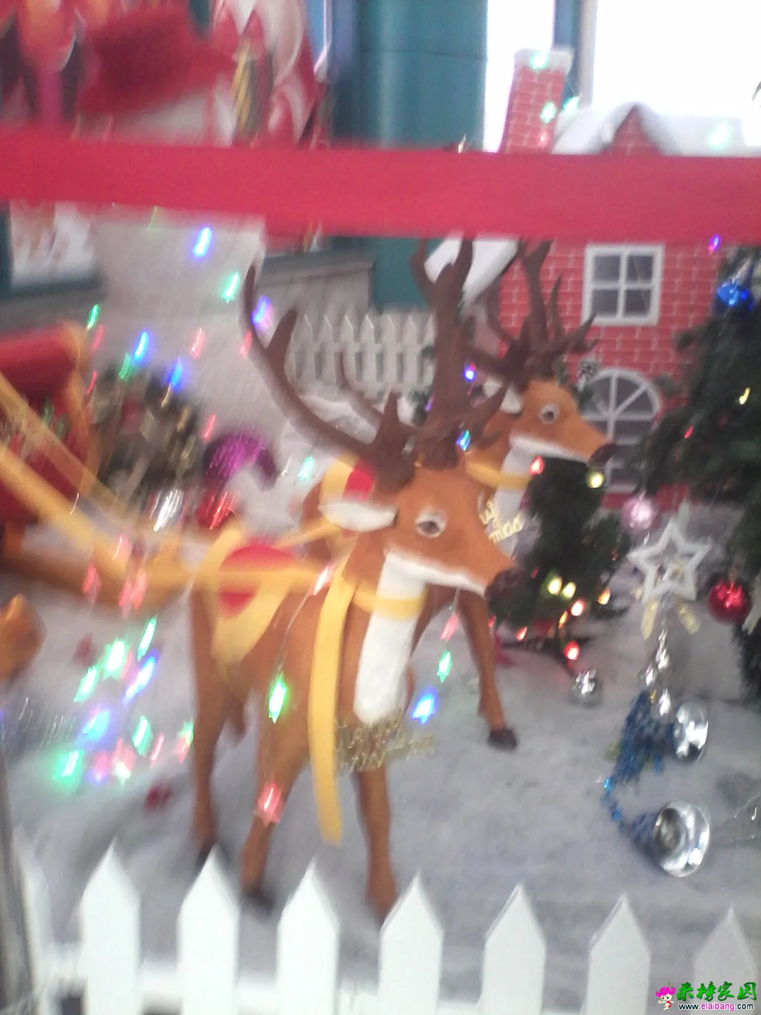 IMG_20141201_130504.webp