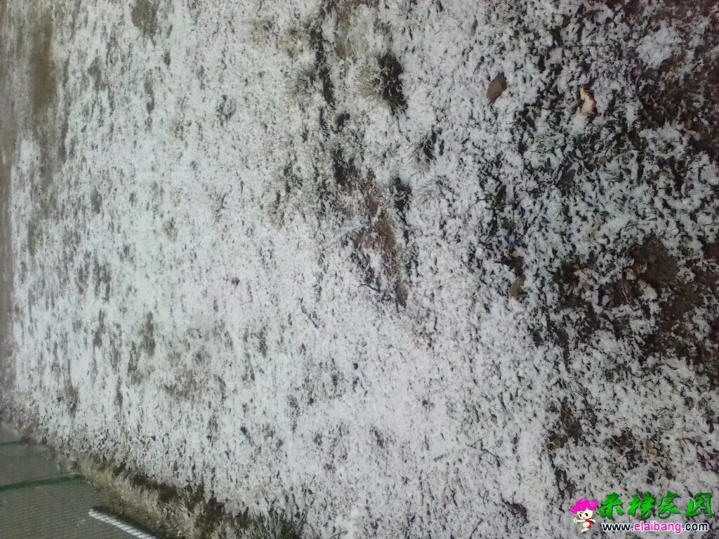 151116vntpxw9nxepv55e9.webp