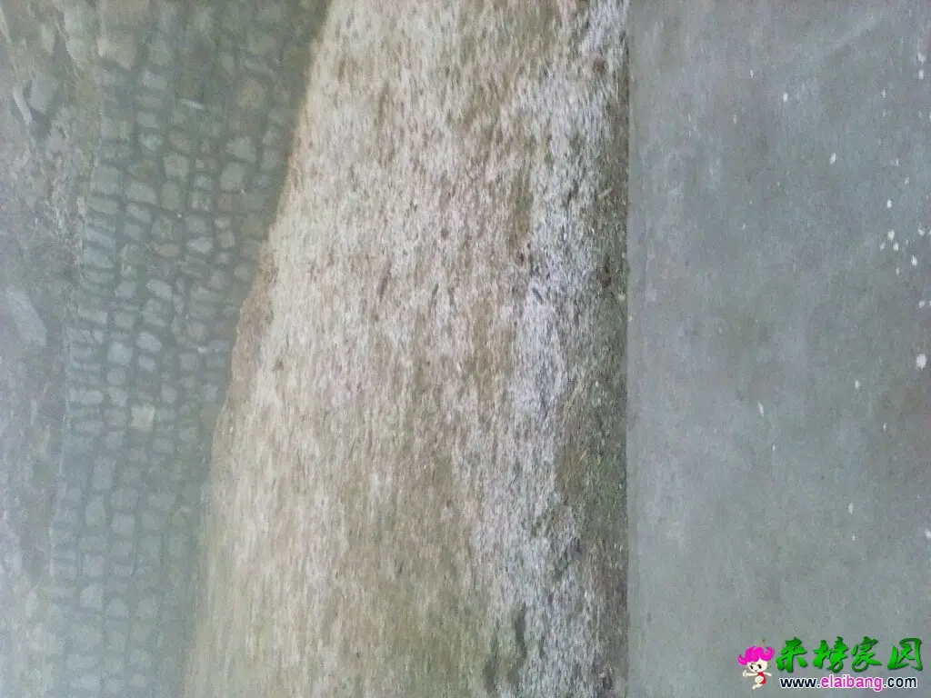 151130oev696vmm2h6eehh.webp