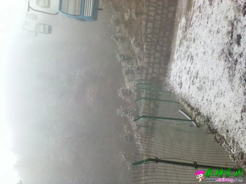 151142ms8ppo6i0hhyps5i.webp