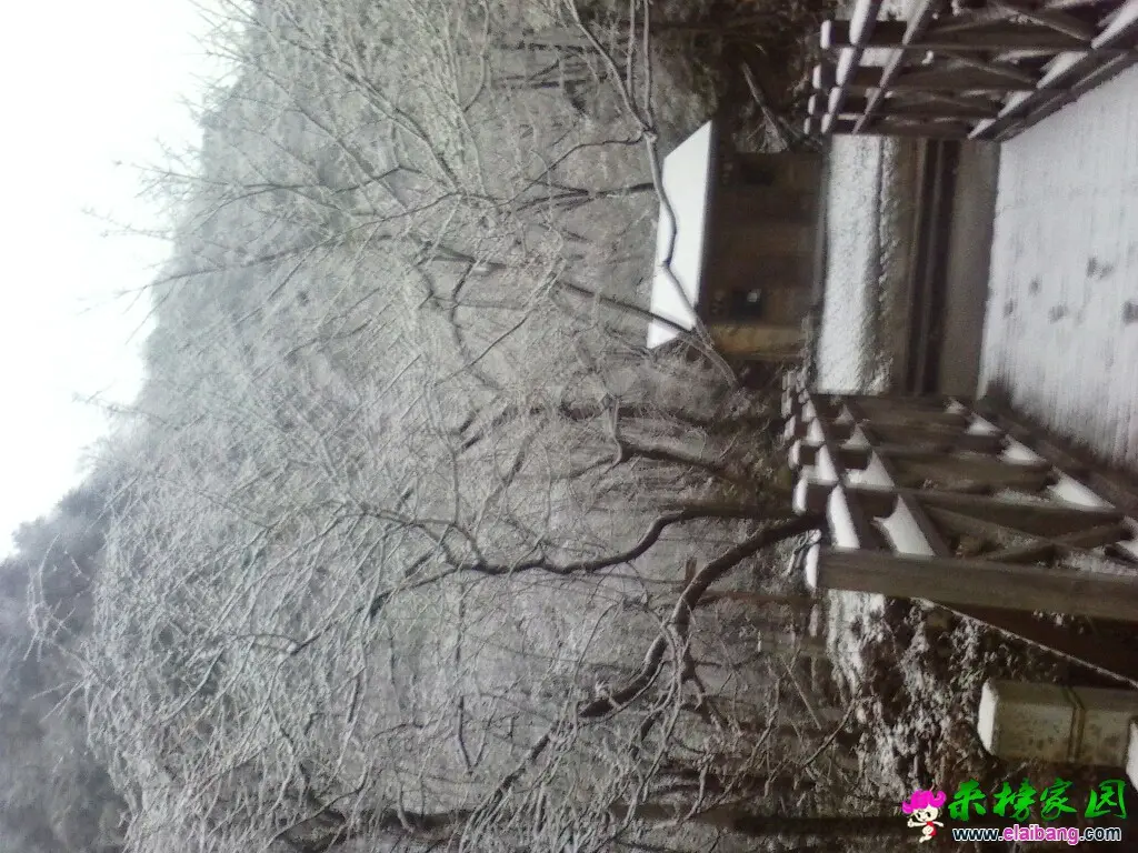 083731q62qji7t919tp86n.webp