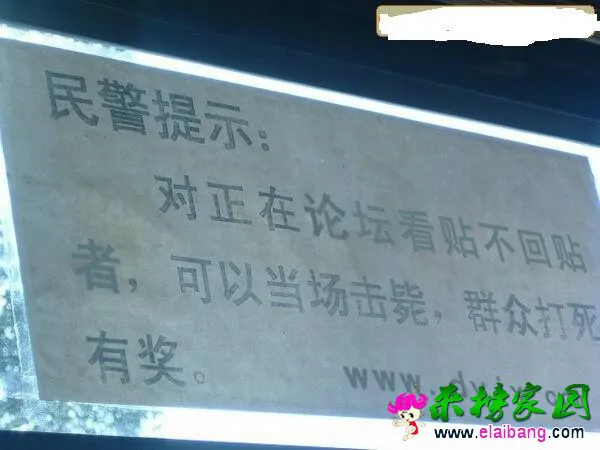 QQ图片20141211213207.webp