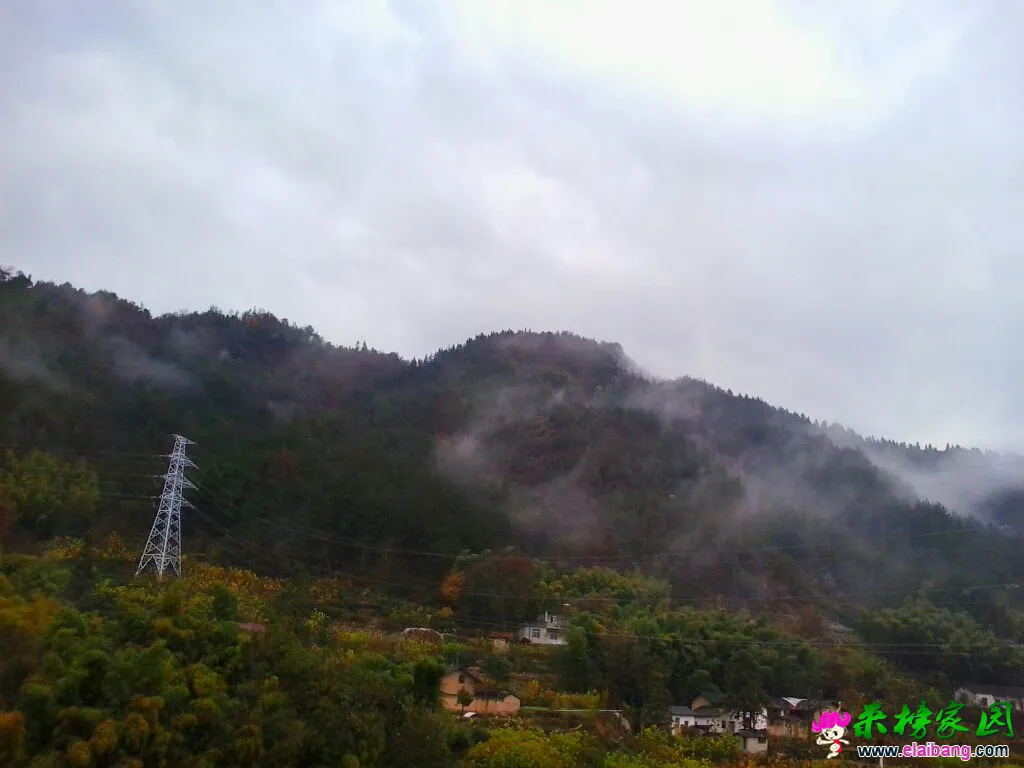 211058p2p0pt2aekjntzw2.webp