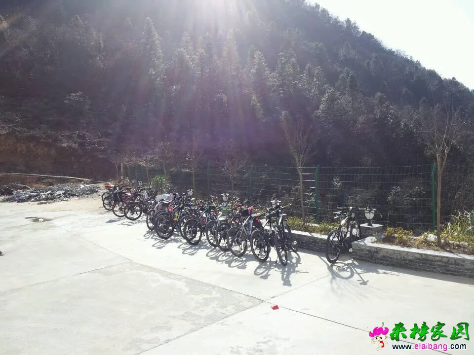 QQ图片200201010842003.webp
