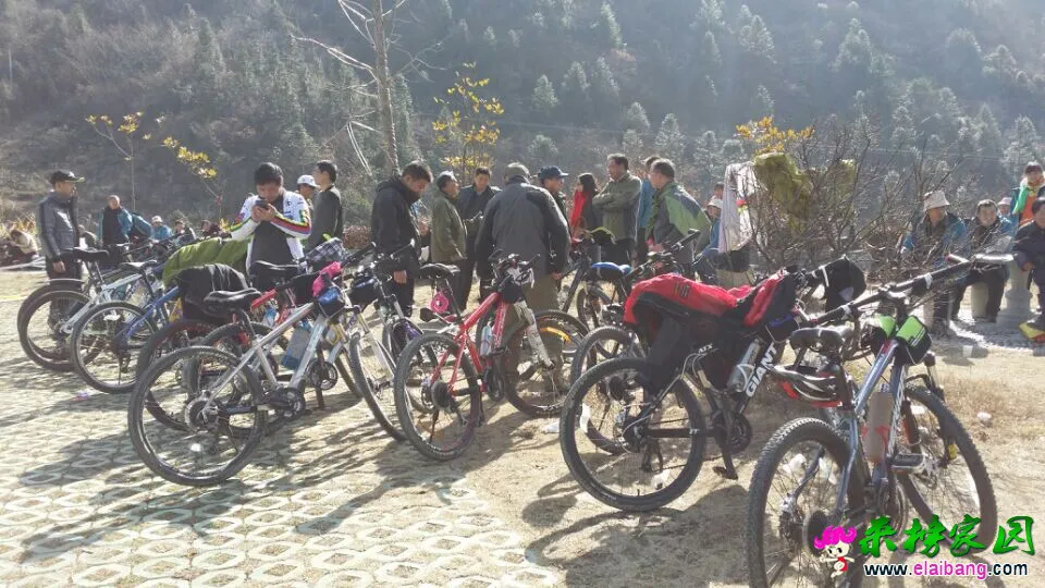 QQ图片2002010110325111.webp