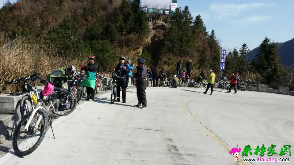 QQ图片2002010110330822.webp