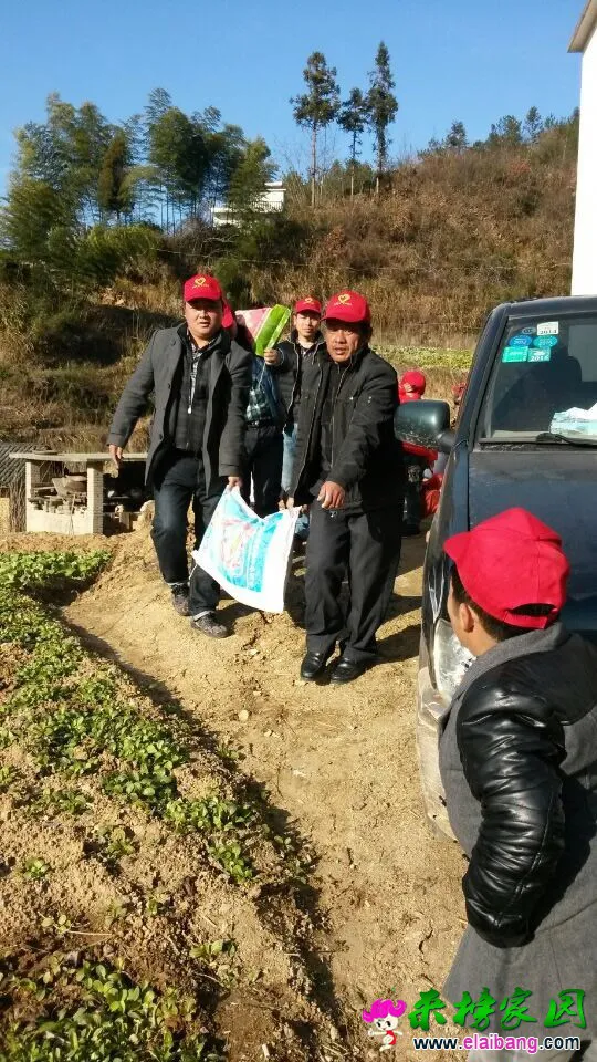 QQ图片20141215201452.webp