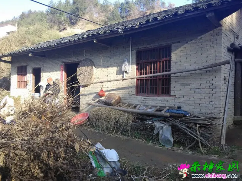QQ图片20141215203253.webp