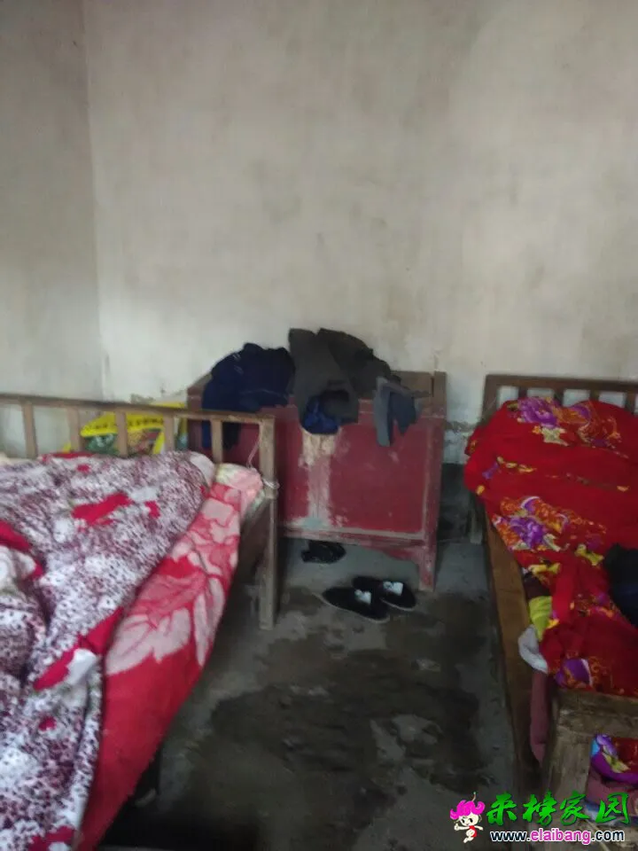 QQ图片20141215203404.webp