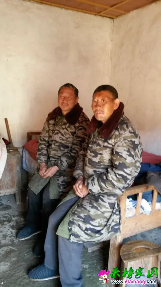 QQ图片20141215201545.webp