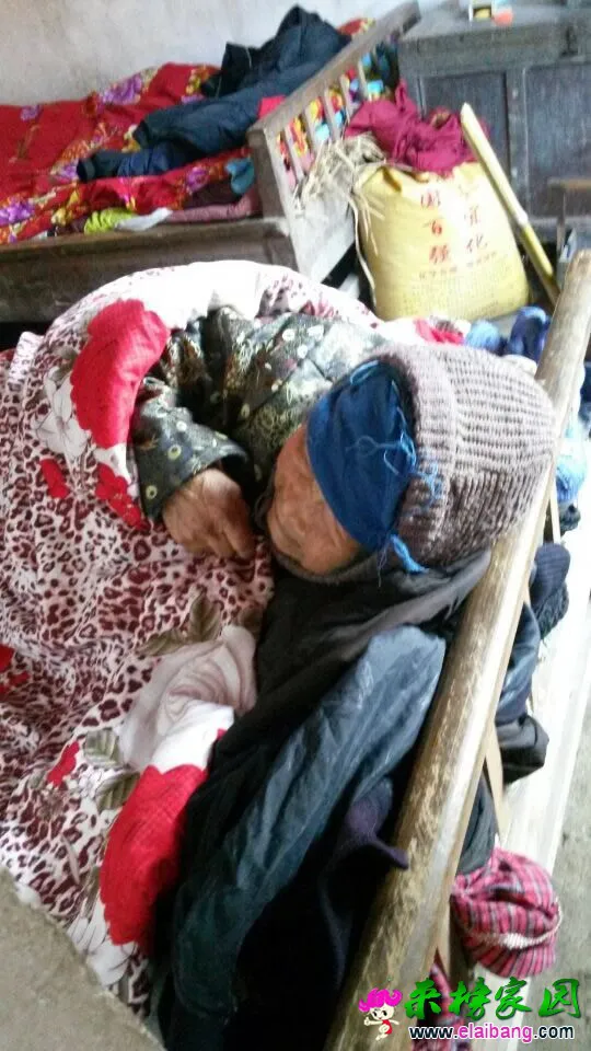 QQ图片20141215201642.webp
