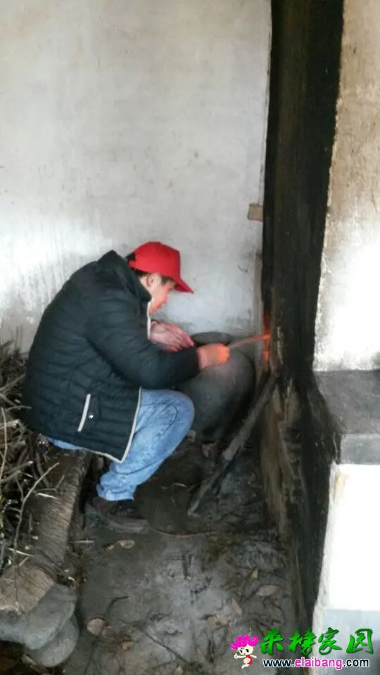 QQ图片20141215201541.webp