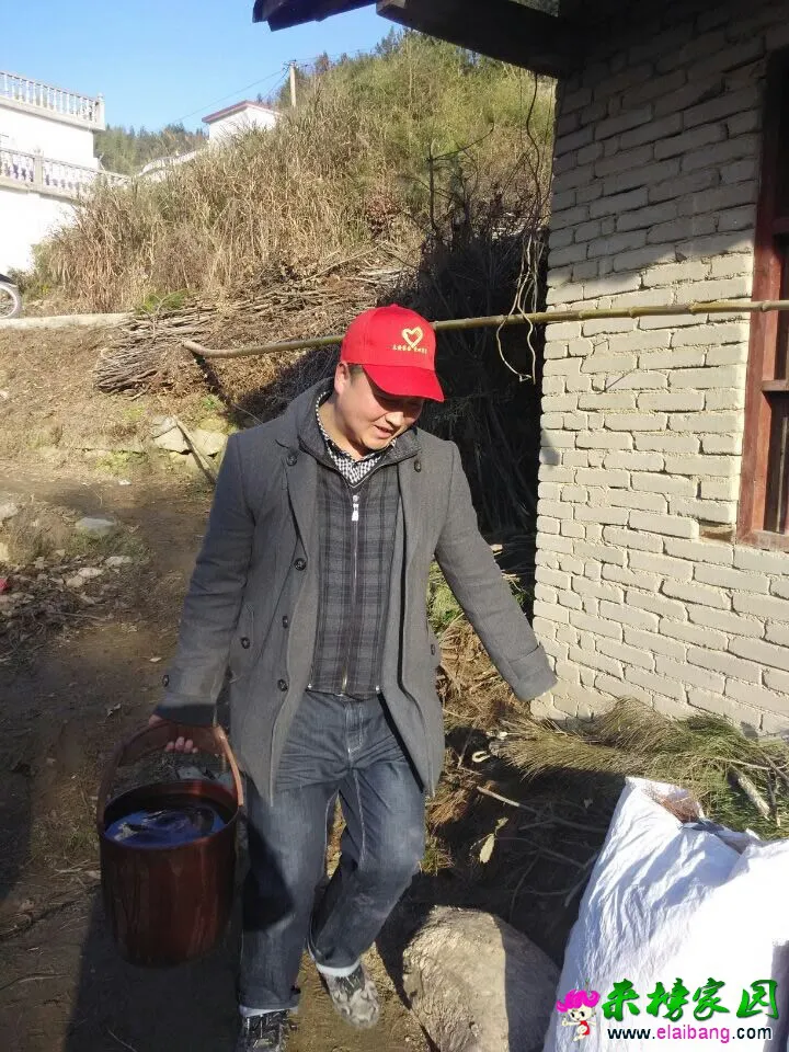 QQ图片20141215203235.webp