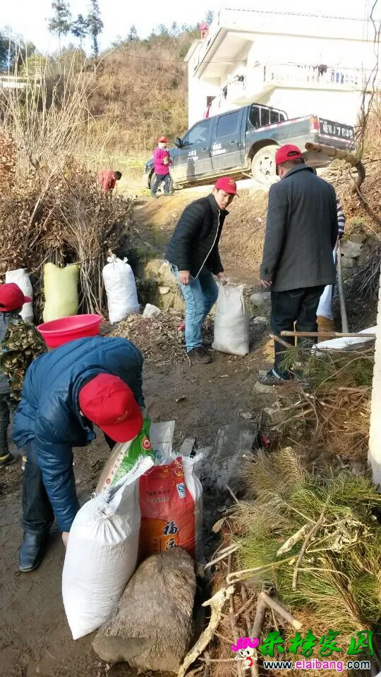 QQ图片20141215201529.webp