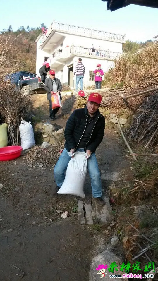 QQ图片20141215201602.webp