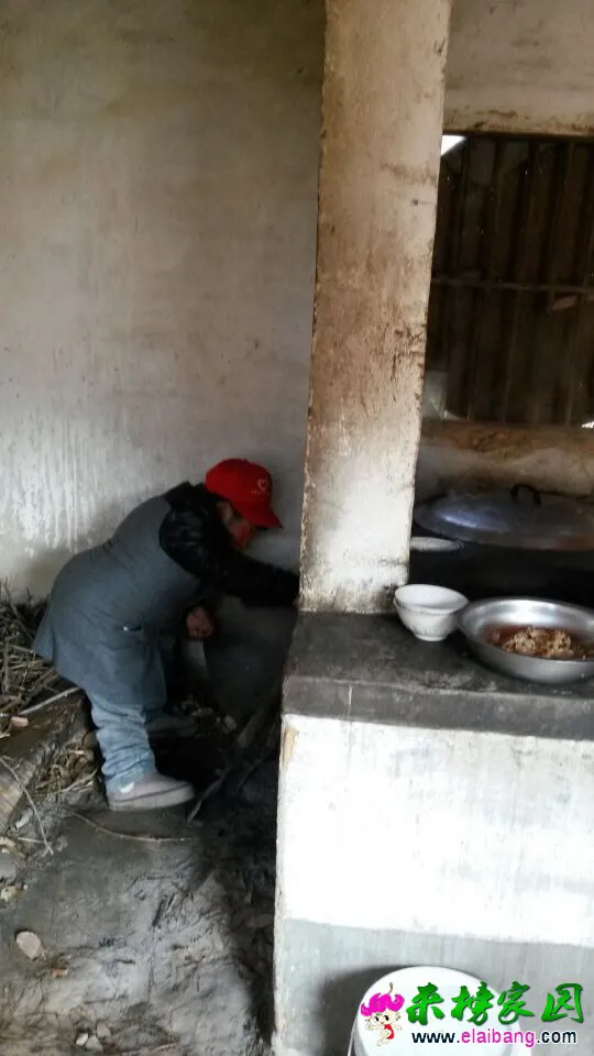 QQ图片20141215201551.webp