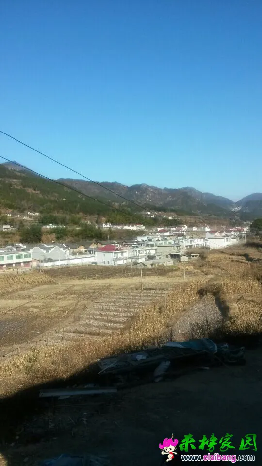 QQ图片200201010907342.webp
