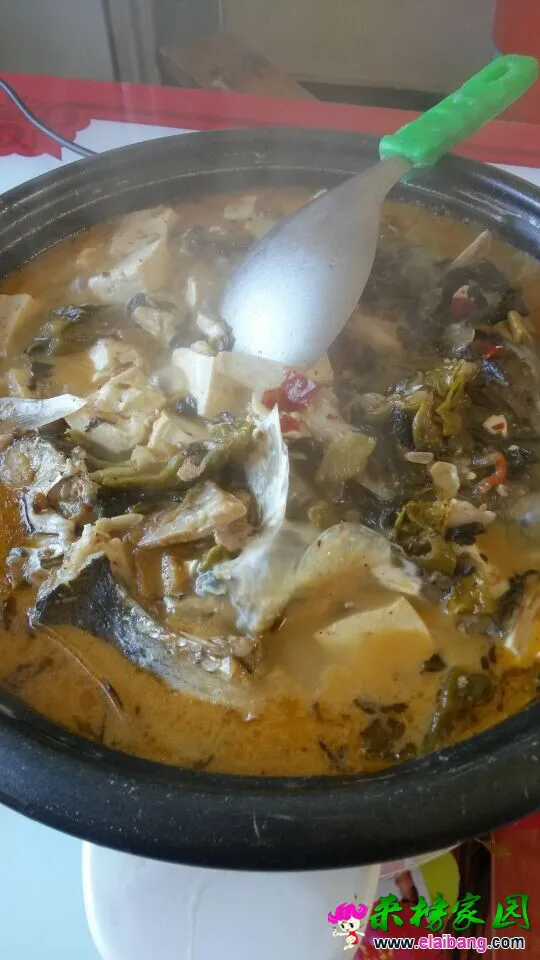 QQ图片2002010109092222.webp