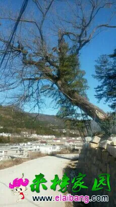 QQ图片200201010908015.webp