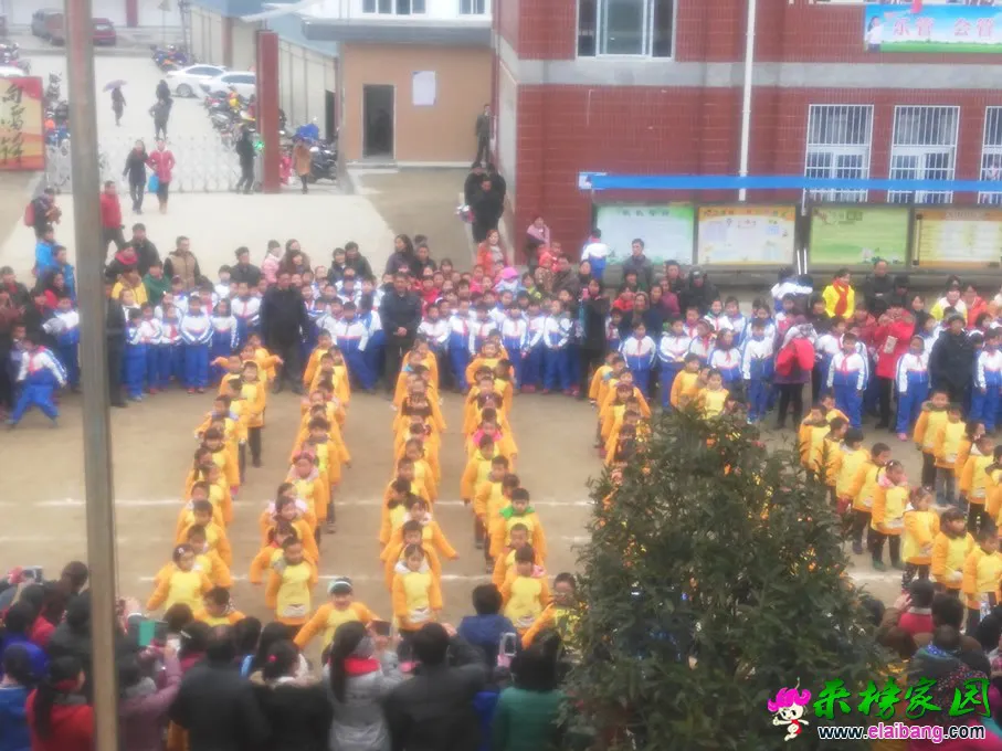 IMG_20141219_091324.webp