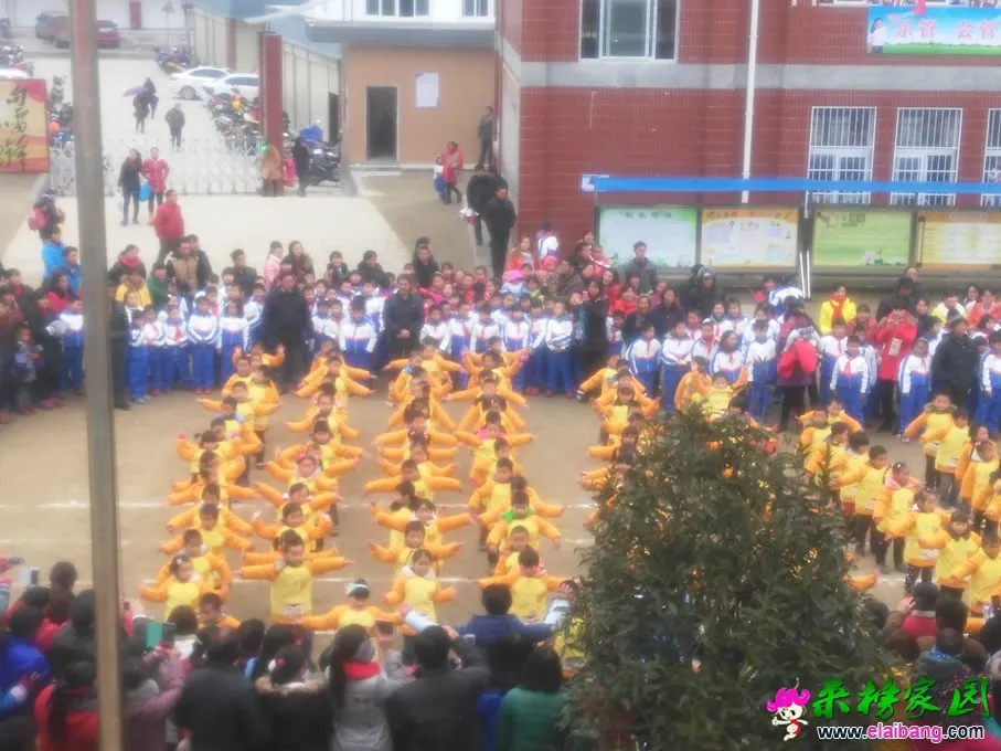 IMG_20141219_091325.webp