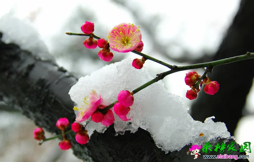 QQ截图20141221113717.webp