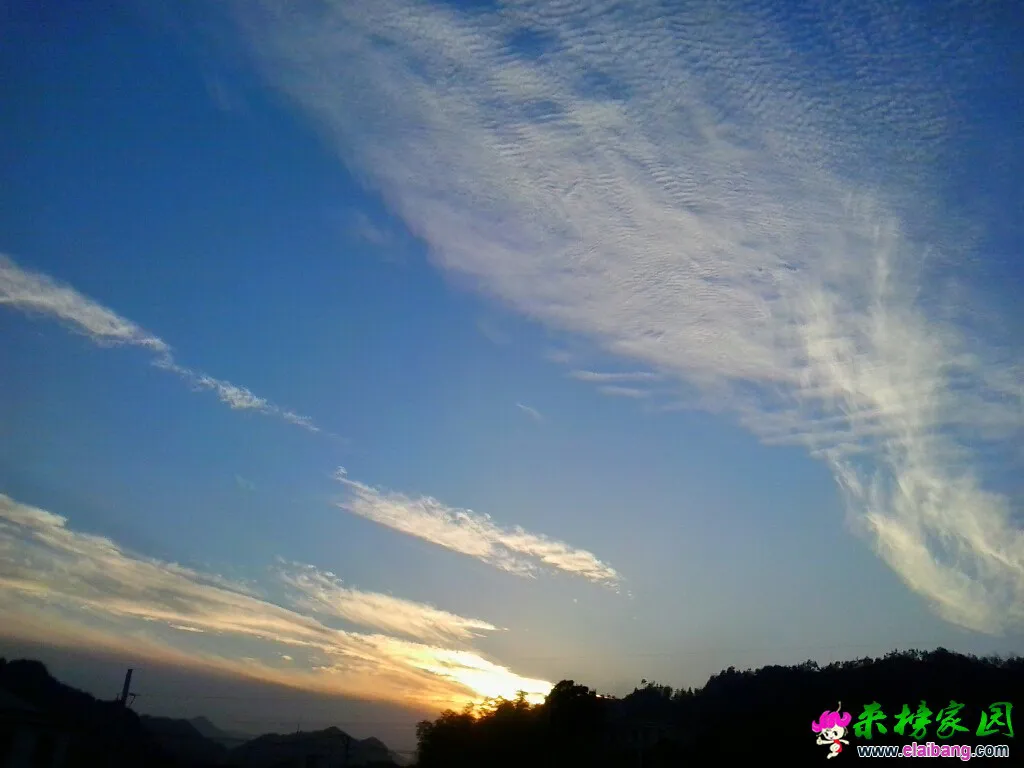 170014sl50vi5ln47vnfsh.webp