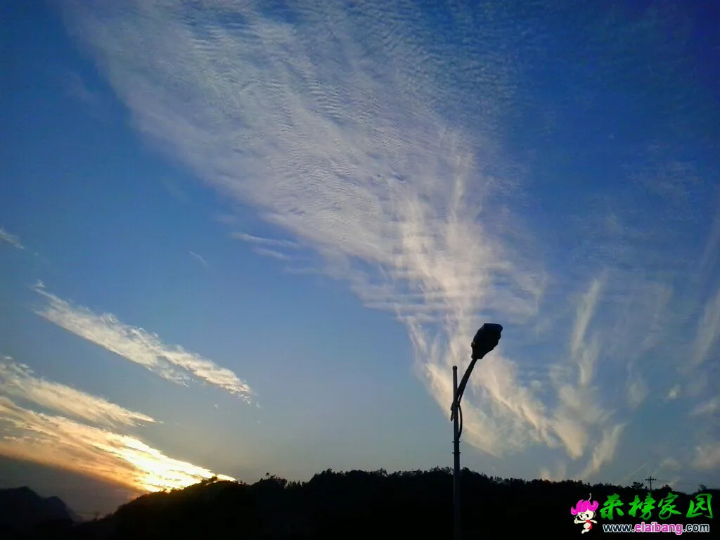 170021mzpsxi1p82s9bppf.webp