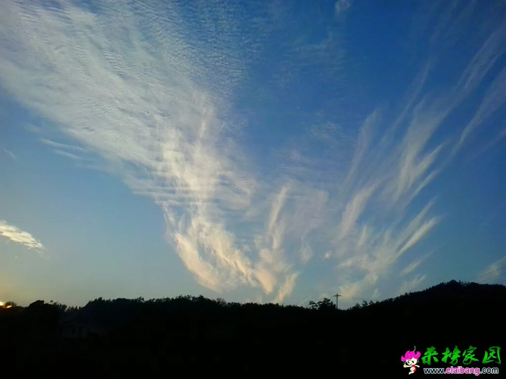 170027uhizlff736br6ii3.webp