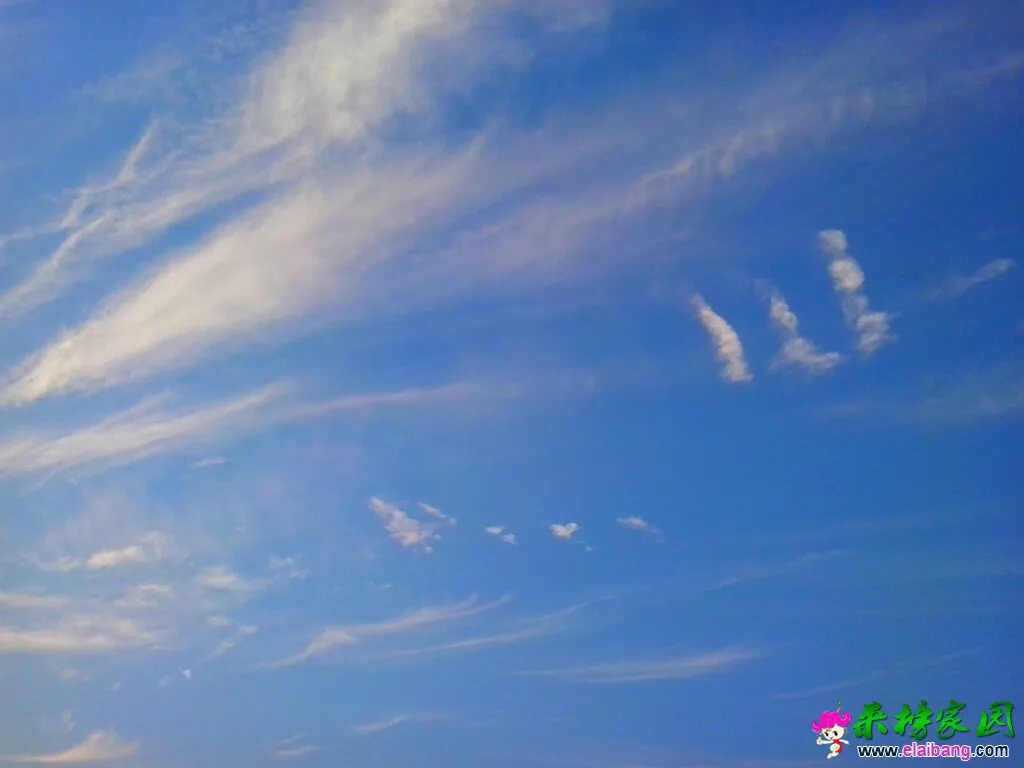 170402kuh2ydl22jelydeo.webp