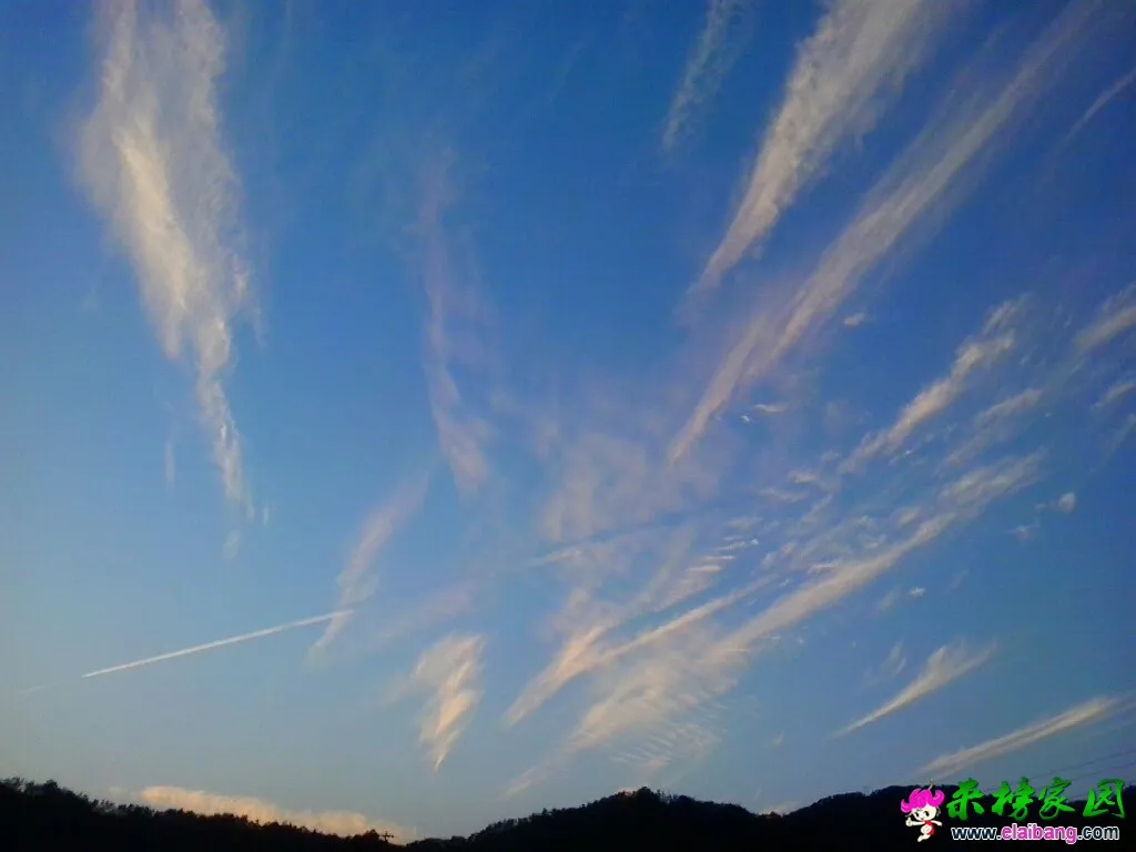 171041i6aa8yzu0qdo8y2l.webp