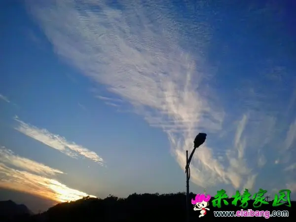 554515.webp