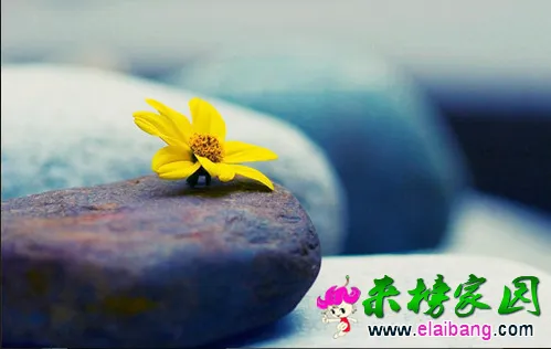 QQ截图20141229100040.webp